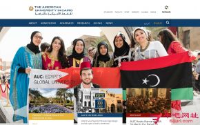 埃及美国大学的网站截图