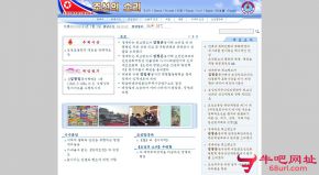 朝鲜之声的网站截图