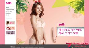 韩国Solb内衣的网站截图