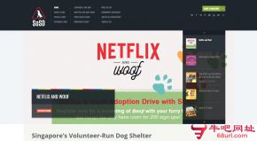新加坡拯救流浪狗协会的网站截图