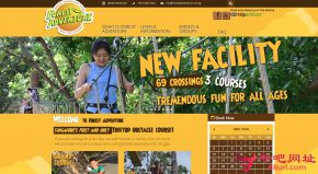 新加坡密林探险的网站截图