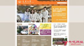 台湾长庚大学的网站截图