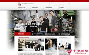 丹麦科技大学的网站截图