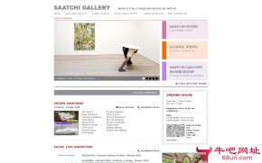 伦敦萨奇画廊的网站截图