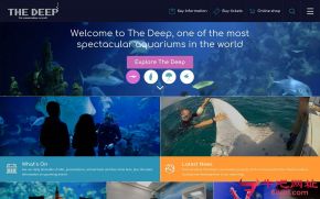 深海水族馆的网站截图