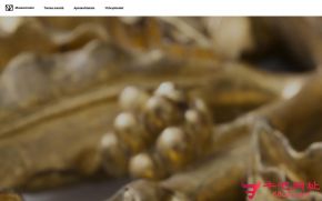 芬兰国家博物馆的网站截图