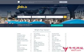 Jobs.ie的网站截图
