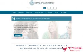 爱尔兰收养机构的网站截图