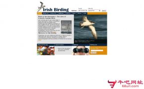 爱尔兰观鸟的网站截图