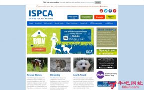 爱尔兰动物保护协会的网站截图