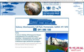 爱尔兰戈尔韦国家水族馆的网站截图