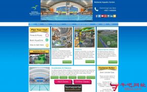 爱尔兰国家游泳中心的网站截图