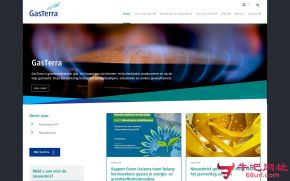 荷兰GasTerra能源公司的网站截图