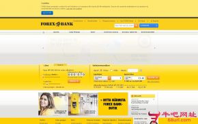 瑞典外汇银行的网站截图
