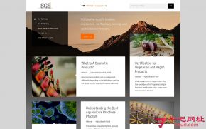 SGS集团的网站截图