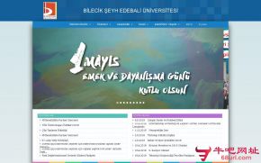 土耳其比莱吉克大学的网站截图