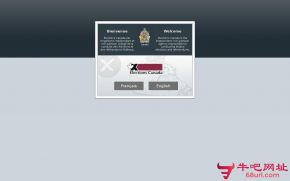 加拿大选举局的网站截图