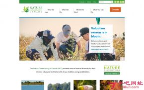 加拿大自然保护组织的网站截图