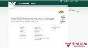 北美植物志的网站截图