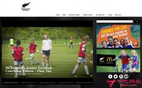 新西兰足球锦标赛的网站截图