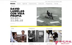 布宜诺斯艾利斯拉丁美洲艺术博物馆的网站截图